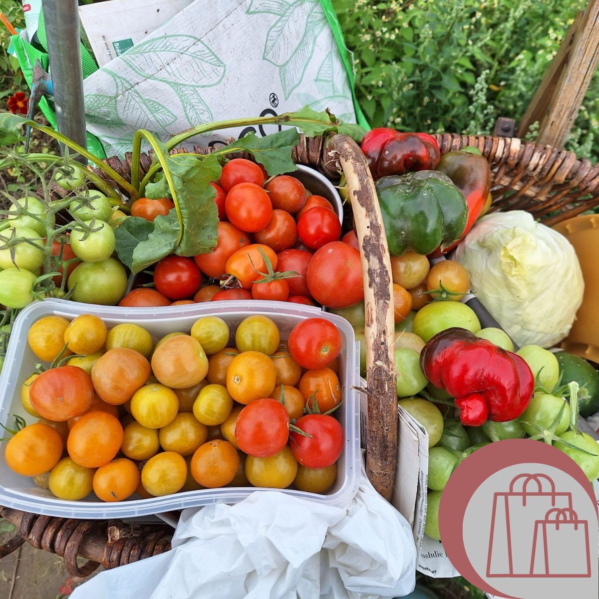 Das Bild zeigt einen Einkaufskorb mit frischem Gemüse vom Wochenmarkt (Bildquelle: eigenes Material).